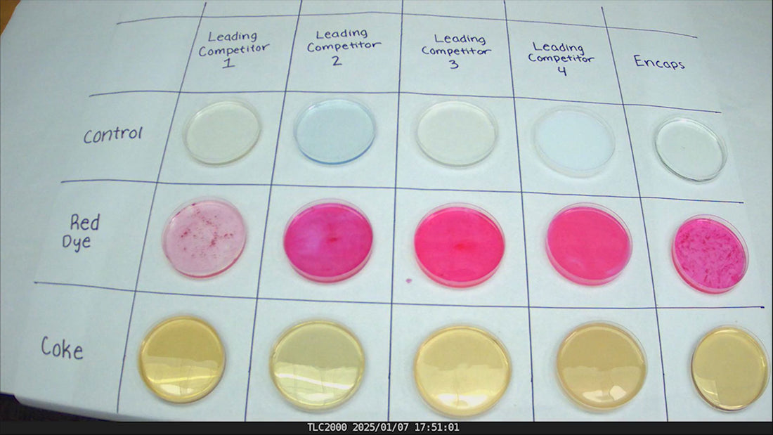 video comparing leading competitors to bluegreen magic encaps